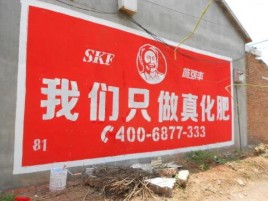 岳池刷墙广告”蕴含了时代命题