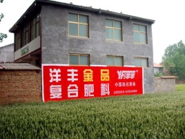 岳池如何让墙体广告展现最大化效果