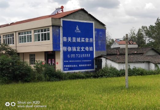 岳池决定墙体广告价格的因素有哪些?