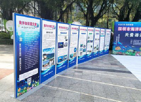 岳池KT板的种类和知识。